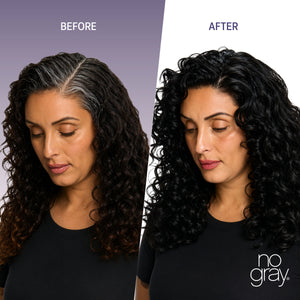 No Gray Quick Permanent Hair Color Shampoo, 8.45oz (Black)