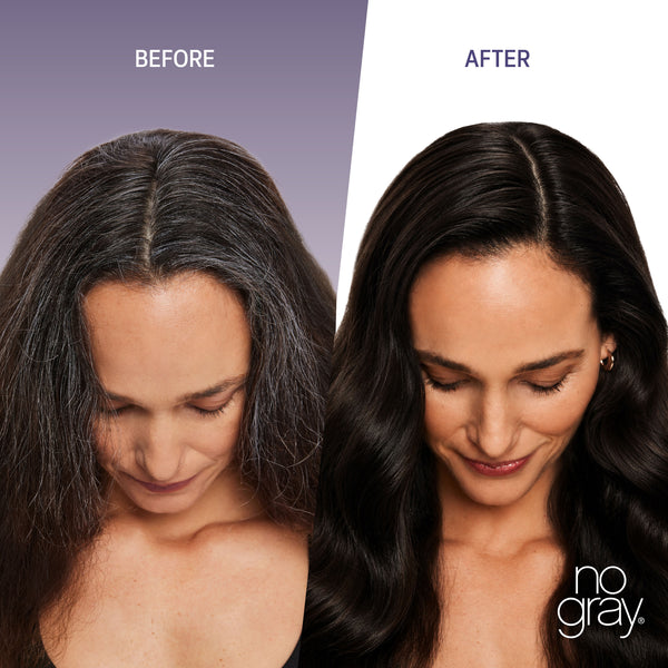 No Gray Quick Permanent Hair Color Shampoo, 8.45oz (Dark Brown)
