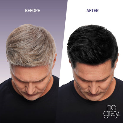 No Gray Quick Permanent Hair Color Shampoo, 8.45oz (Black)