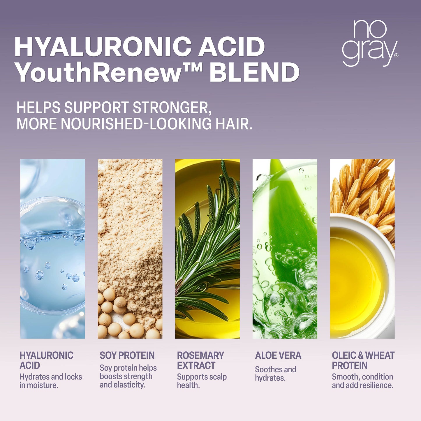 No Gray Quick Permanent Hair Color Shampoo, 8.45oz (Black)