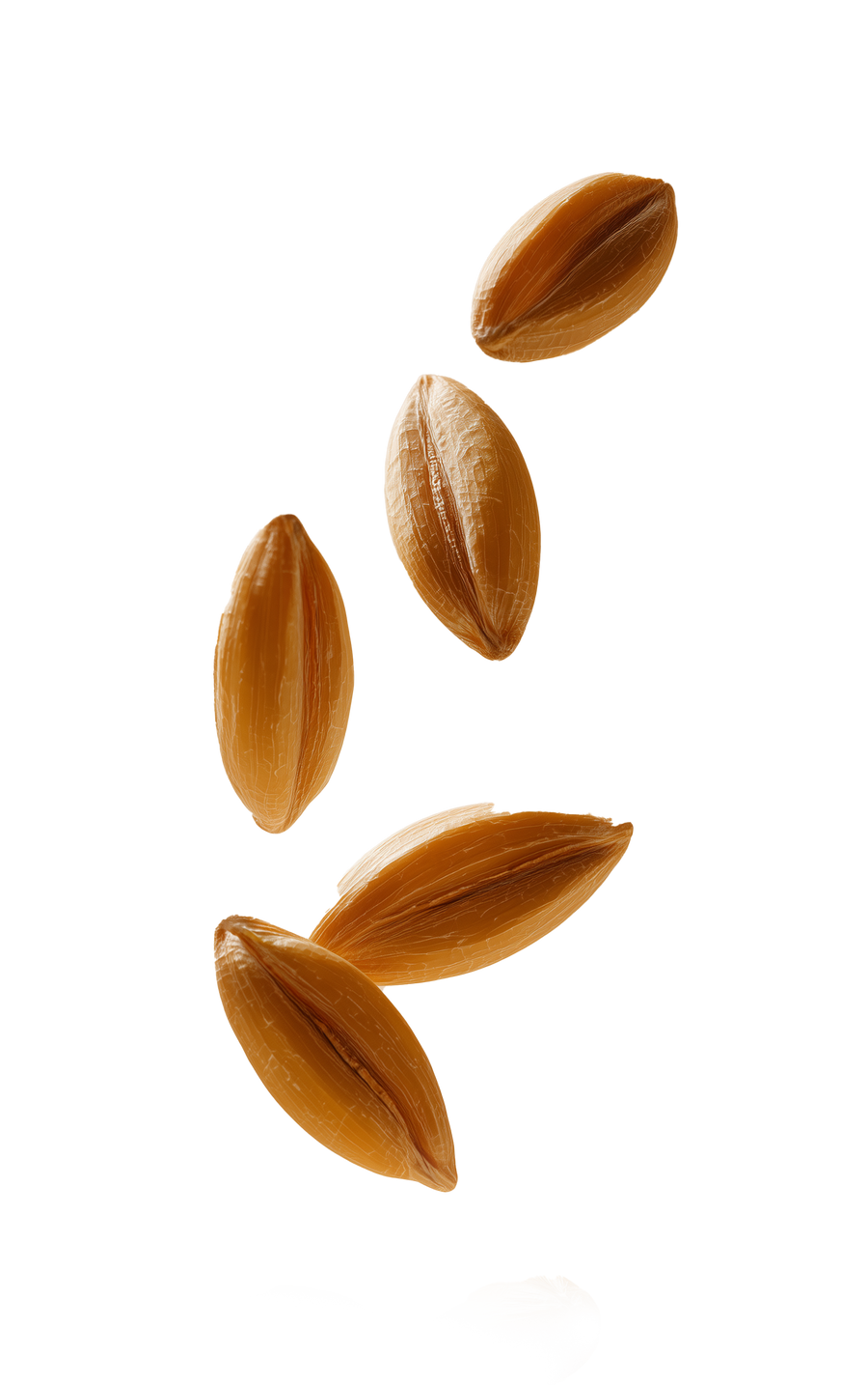 OLEIC & WHEAT PROTEIN